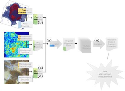 Editorial: Microscale Modelling of Soil Processes: Recent Advances, Challenges, and the Path Ahead